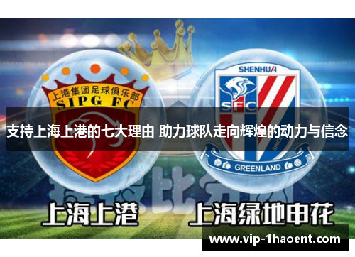 支持上海上港的七大理由 助力球队走向辉煌的动力与信念