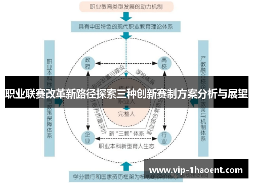 职业联赛改革新路径探索三种创新赛制方案分析与展望 职业联赛改革新路径探索三种创新赛制方案分析与展望