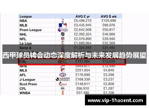 西甲球员转会动态深度解析与未来发展趋势展望 西甲球员转会动态深度解析与未来发展趋势展望