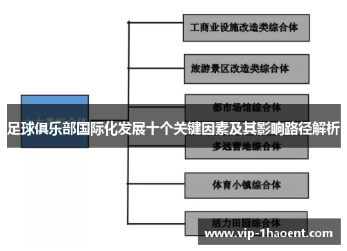 足球俱乐部国际化发展十个关键因素及其影响路径解析 足球俱乐部国际化发展十个关键因素及其影响路径解析